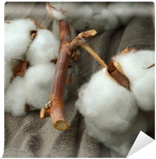 Cotton (400x400), Png Download