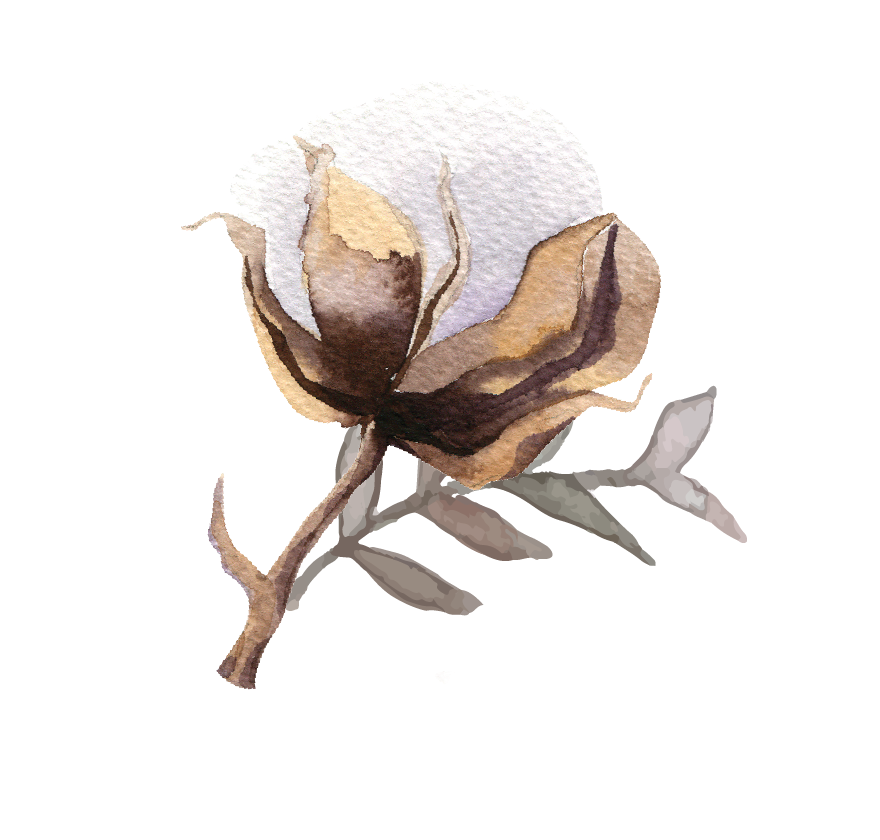 Copyright © 2018 - Magnolia (988x953), Png Download