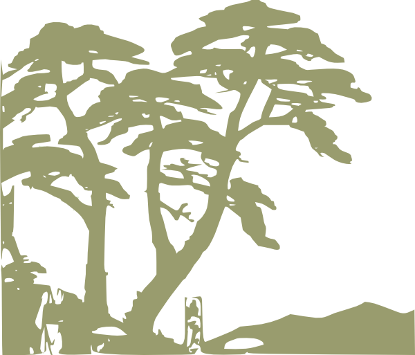 Rainforest Png (600x513), Png Download