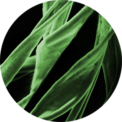 Renewable Raw Materials - Grass (400x400), Png Download