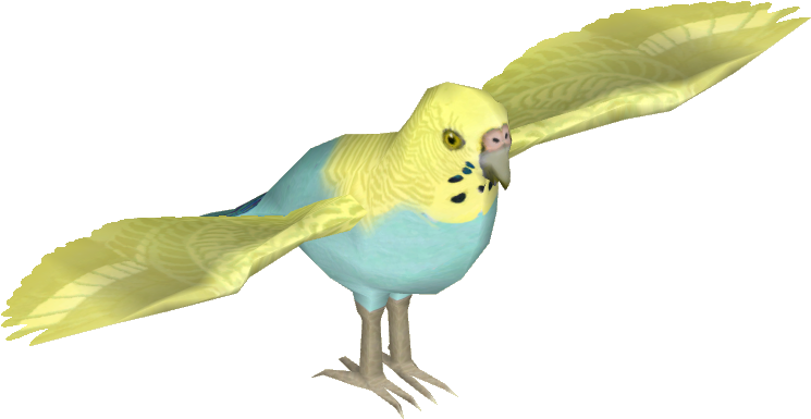 Budgie 08 - Parakeet (744x744), Png Download