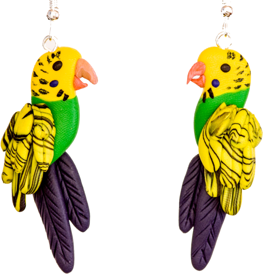 Handcrafted Budgie Earrings - Earrings (1024x1024), Png Download