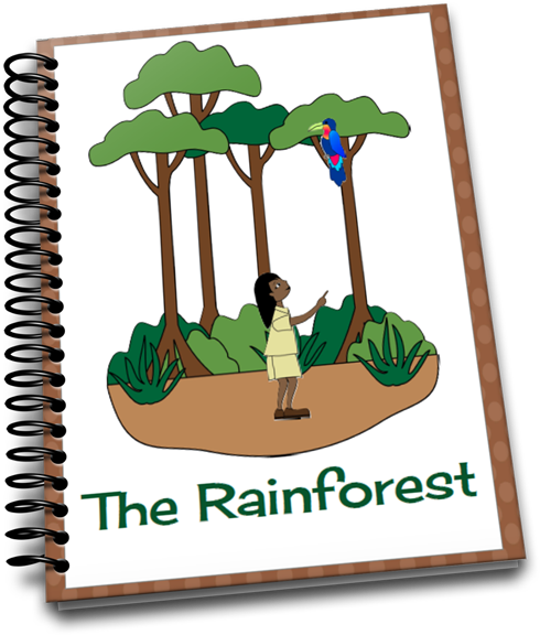 Teaching About The Rainforest - Teaching Preschoolers Rainforest (550x681), Png Download
