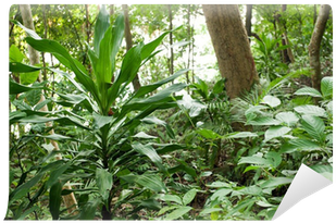 Plantation (400x400), Png Download