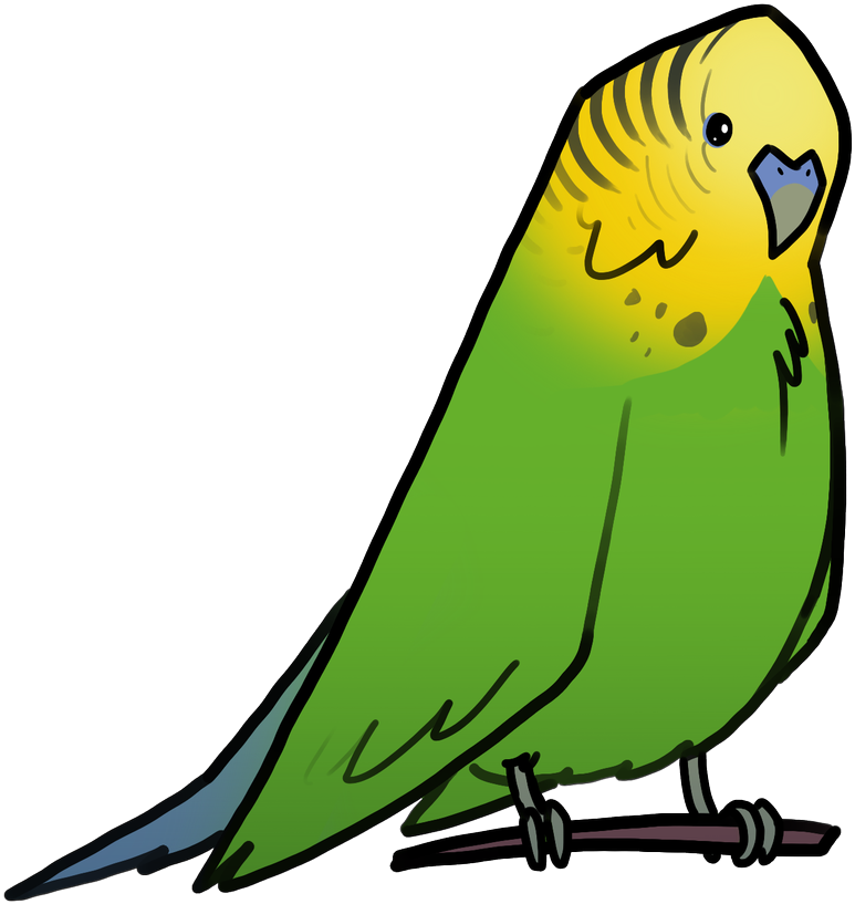 Ron Broyde On Twitter - Budgie (1200x1200), Png Download