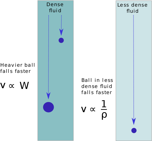 Aristotle's Laws Of Motion - Laws Dense Fluid Less Dense Fluid (660x604), Png Download