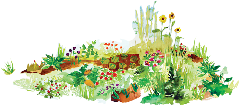 Minnesota Has A Long History Of Innovation In Education, - Wildflower Graphics (830x400), Png Download