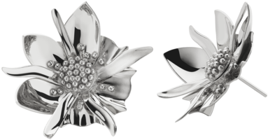 Wildflower Earrings Large - Women's Meadowlark Large Wildflower Stud Earrings (500x500), Png Download