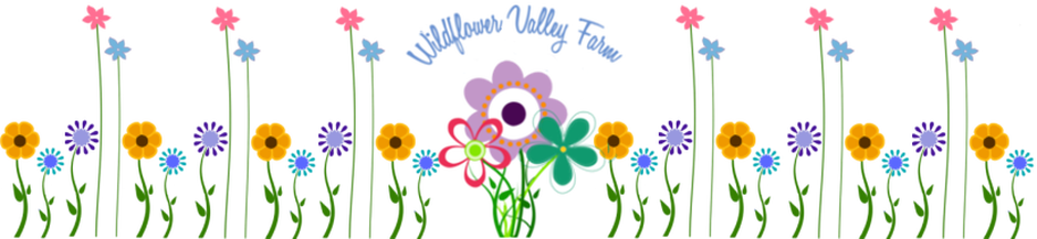 Wildflower Valley Farm - Farm (938x217), Png Download