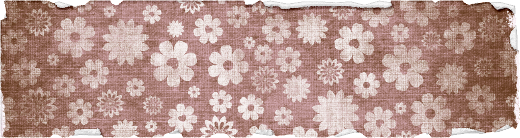 Torn Edge Paper Photo Tornedgepaper - Photograph (1021x271), Png Download