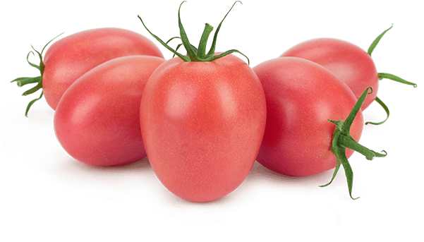 Tango Loose Product New - Product (600x380), Png Download