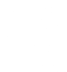 Roots Future (600x315), Png Download