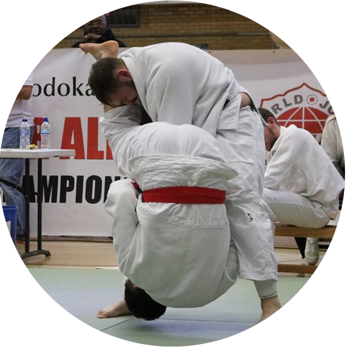 Traditional - Brazilian Jiu-jitsu (700x700), Png Download
