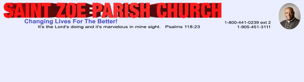 Previous Image - Banner (1204x325), Png Download