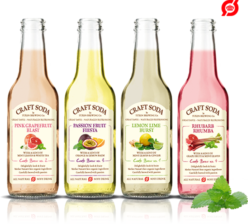 Craft Soda 100% Organic Soft Drink - Craft Soft Drinks (496x448), Png Download
