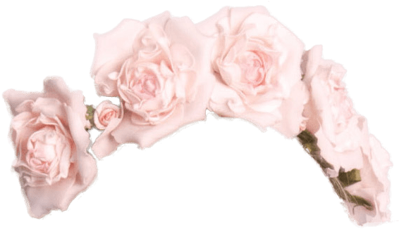 Transparent Flower Totally Tumblr Png Crown Pack Png - Floral Crown Overlays (500x500), Png Download