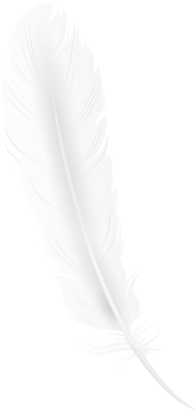 White Feather Png Clip Art Image - Feather (295x600), Png Download