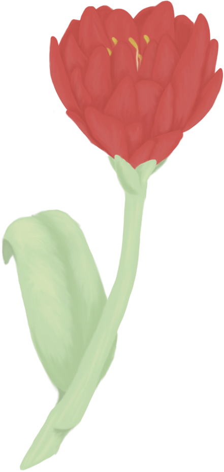 Drawing Tulips Turned Flower - Drawing (547x948), Png Download