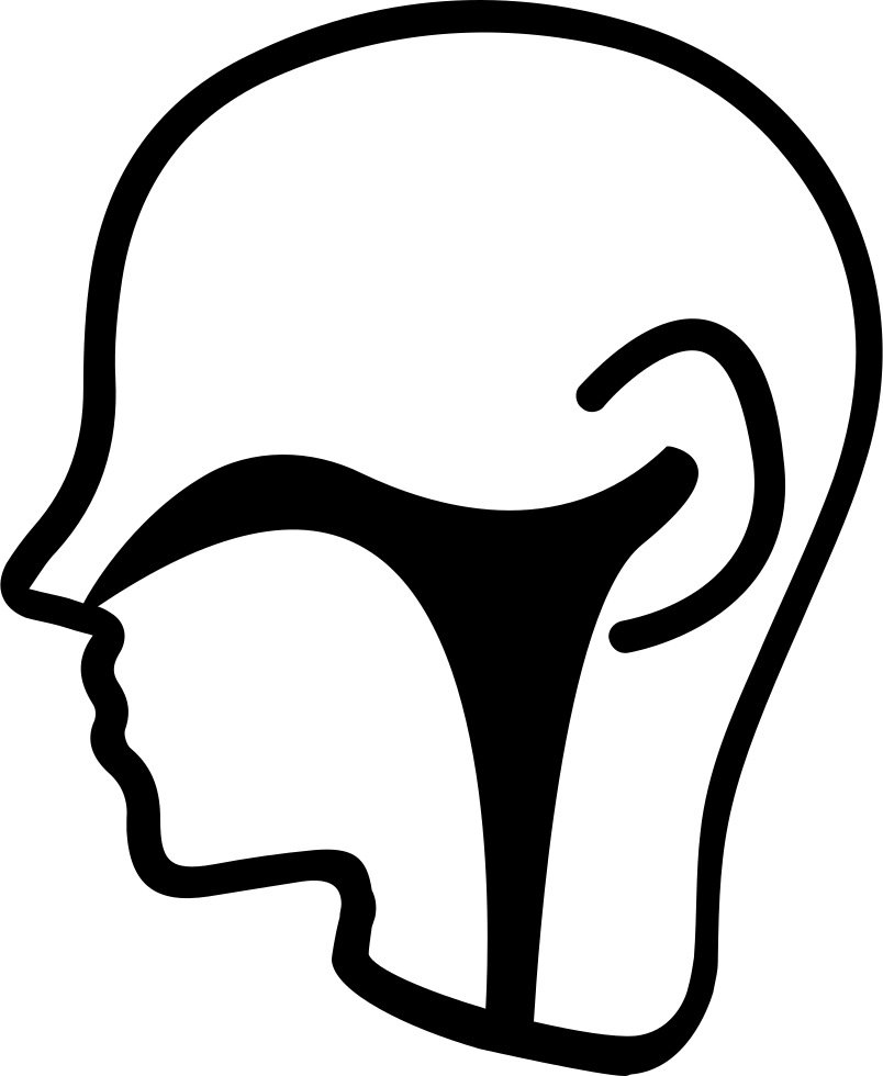 Ear Nose Throat Section Svg Png Icon Free Download - Ear Nose Throat Icon (804x980), Png Download