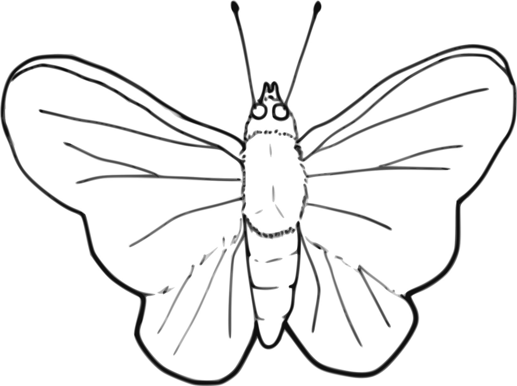 Butterfly Line Art Big Image Png - Black And White Clip Art Moth (1647x1231), Png Download