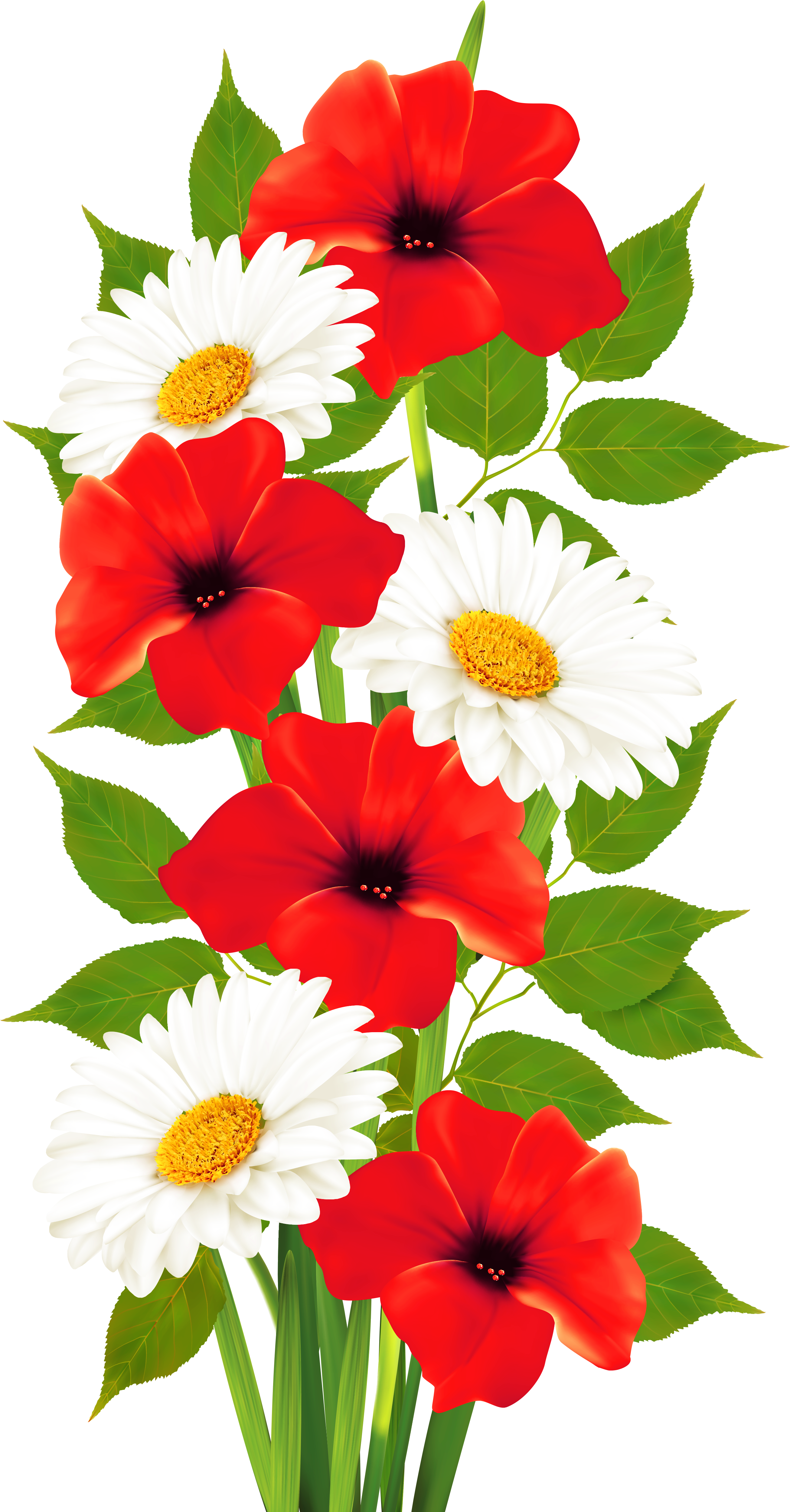 Poppies And Daisies Transparent Png Clipart - Flower Clipart Transparent Background (2860x5180), Png Download