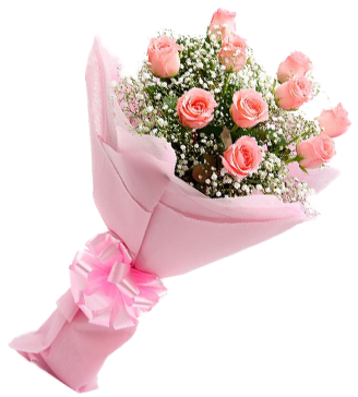 Bunch Of 10 Pink Roses - Bouquet Of Pink Roses Png (428x428), Png Download