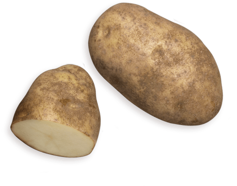 Potato - Ingredient (501x500), Png Download