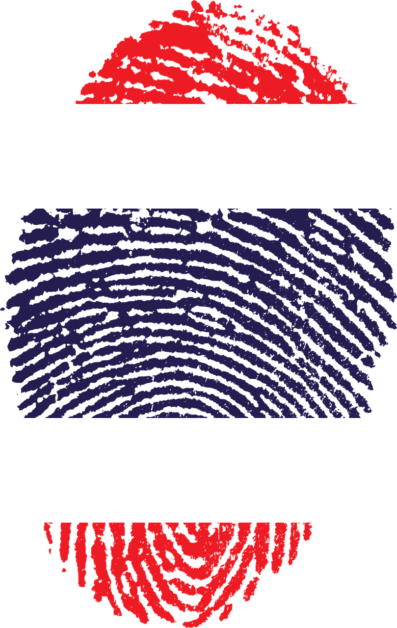 Thailand Fingerprint - Fingerprint With Flags (809x1280), Png Download