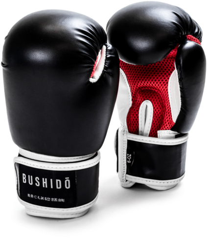 Kai Youth Boxing Gloves - Boxing (600x600), Png Download