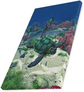 Sea Turtle Canvas Print - Green Sea Turtle (500x500), Png Download