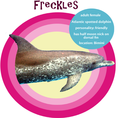 Check Out Freckles' Cameo In The Film Dolphins - Backpack (410x412), Png Download