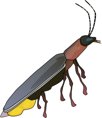 Firefly Illustration Of Firefly - Lightning Bug Clipart (346x400), Png Download