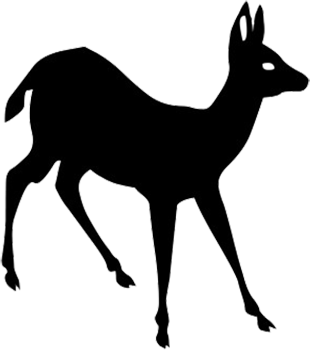 Deer Silhouette - Venado Cola Blanca Silueta (646x731), Png Download