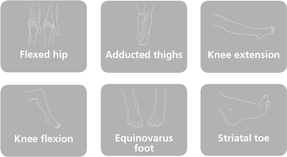 Striatal Toe - Graphic Design (1024x573), Png Download