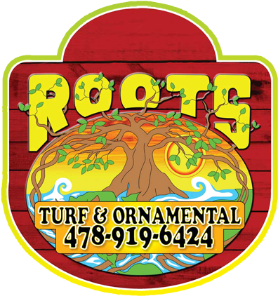 Warner Robins Lawncare - Roots Turf And Ornamental (400x442), Png Download