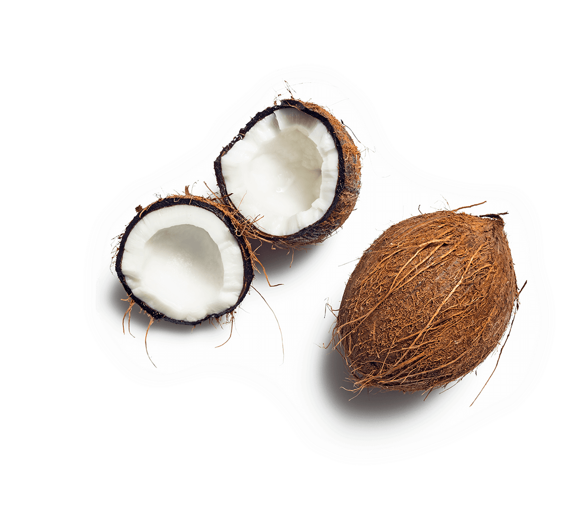 Coconut - Coconut Oil (1425x1050), Png Download