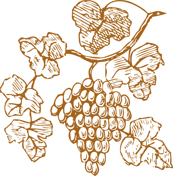 Golden Grapes Clip Art - Gold Grapes Clipart (588x599), Png Download