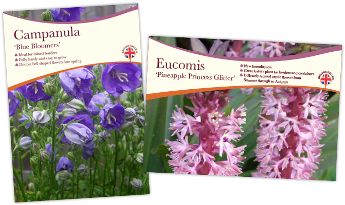 Correx Boards 2 - Iris (765x400), Png Download