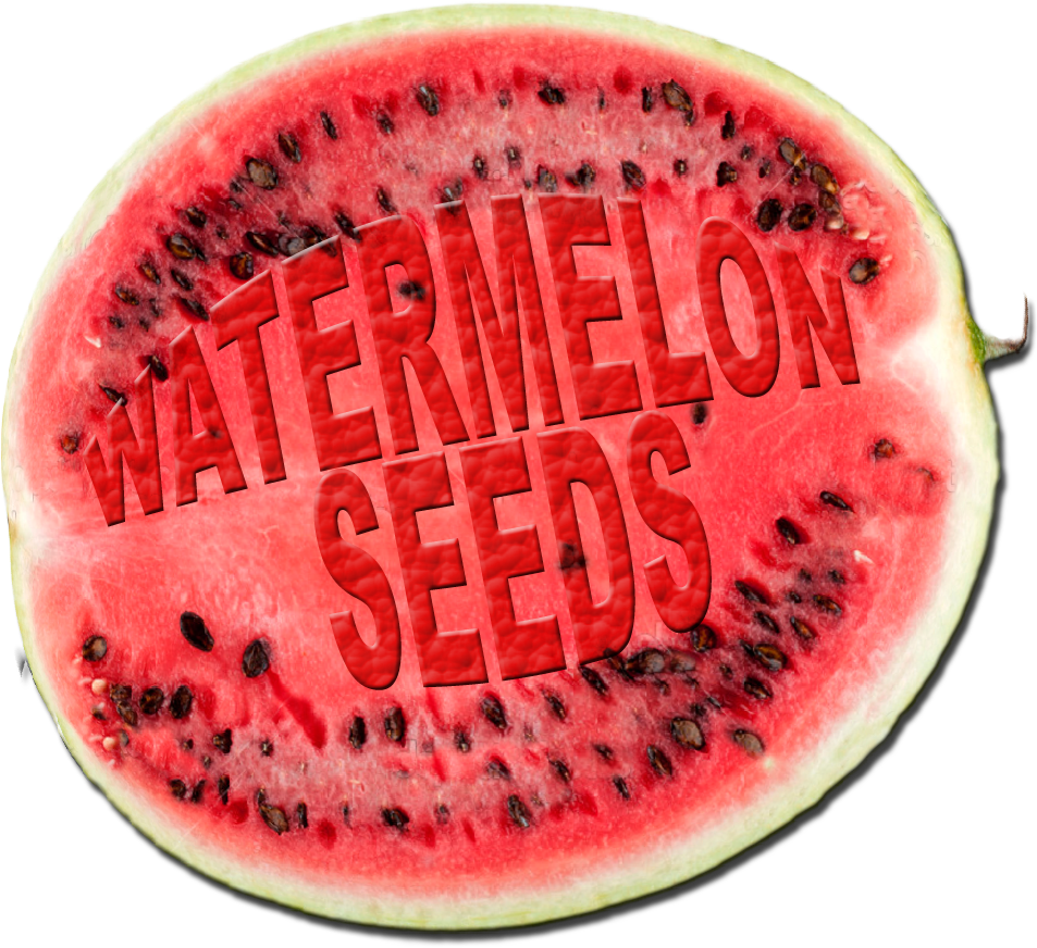 Watermelon Png Hd Photo - Watermelon (1024x1024), Png Download