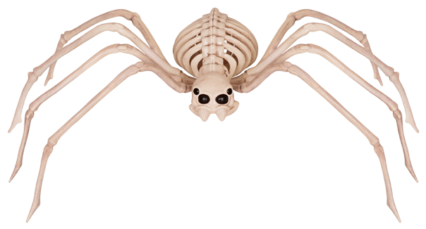Crazy Bonez Skeleton Spider - Spider Skeleton (650x348), Png Download