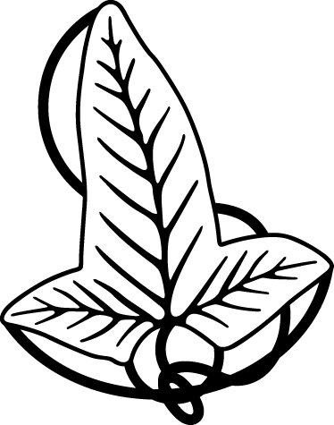 Leaf Of Lorien Wall Sticker 3127 - Elven Leaf Drawing (374x475), Png Download