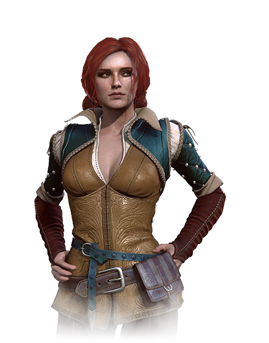 View Samegoogleiqdbsaucenao Tw3 Journal Triss , - Triss Merigold (654x727), Png Download