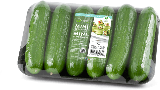 Mini Cucumbers 6ct - Cucumber (740x541), Png Download