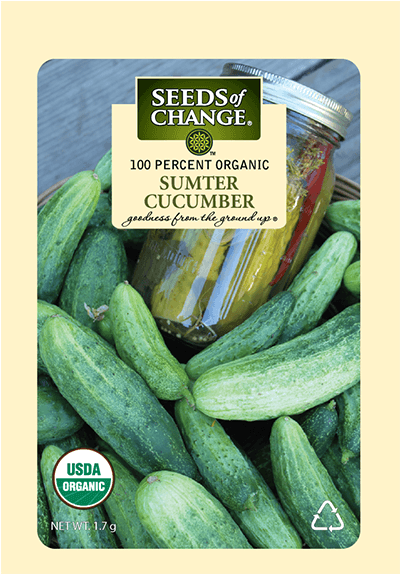 Organic Sumter Pickling Cucumber Seeds - Seeds Of Change Garden Supply. Sumter Cucumber Seed (573x573), Png Download