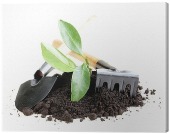 Green Plant Grows From The Ground With Garden Tools - Garden (400x400), Png Download