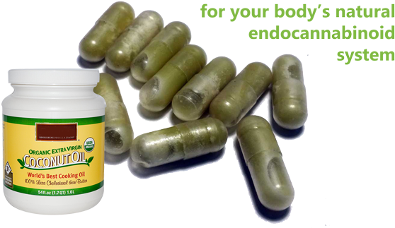 How To Make Cannabis Caps - Nutiva Organic Virgin Coconut Oil,15 Ounce (pack Of (640x350), Png Download