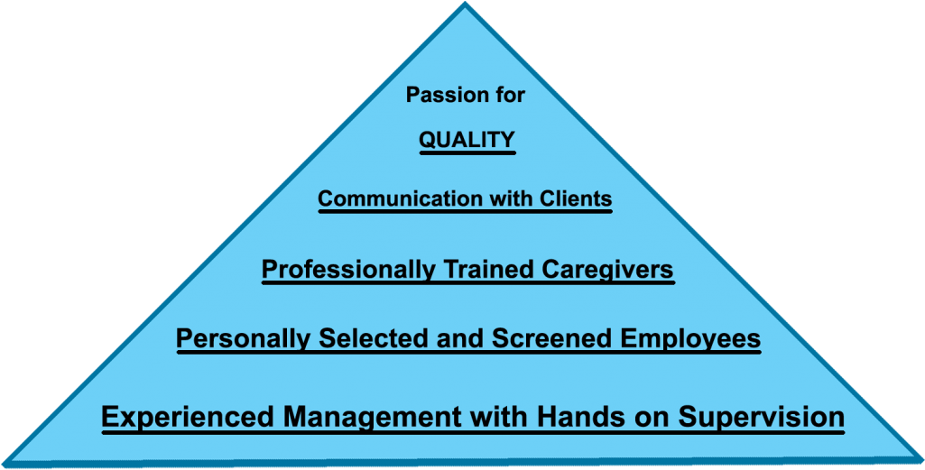 Pyramid Of Excellent For Providing Care Sets Golden - Marshalls Hierarchy Of Needs (1024x539), Png Download