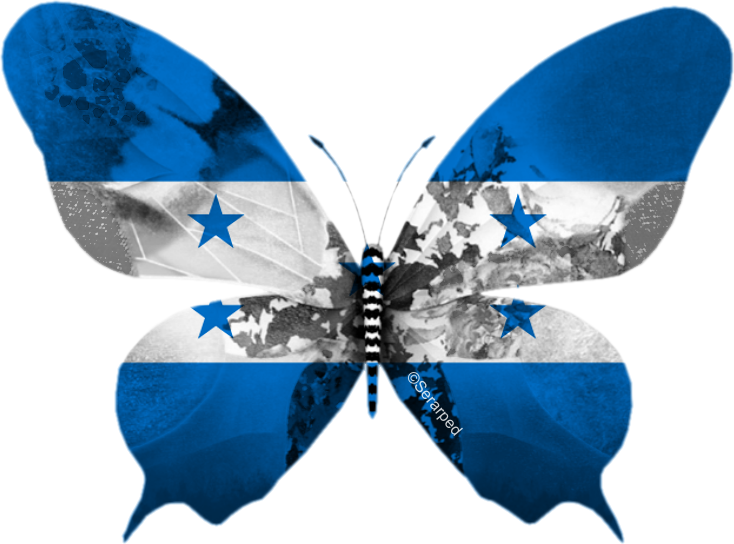 That Come From Honduras, A Country In Central America - Turkish Flag In Butterfly (734x544), Png Download