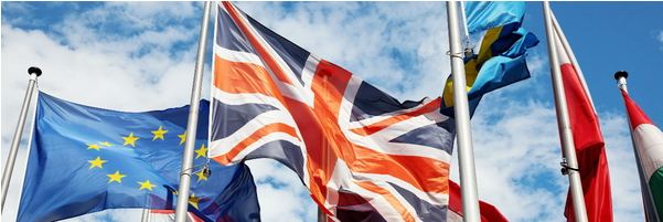 Uk Eu Flag - Flag (600x600), Png Download