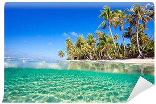 Beautiful Tropical Island At Tikehau A Pillow Case (400x400), Png Download